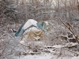 "Partying" and illegal camping in the woods creates litter & waste problems.